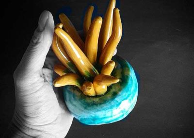 anemone-ceramica-luneba